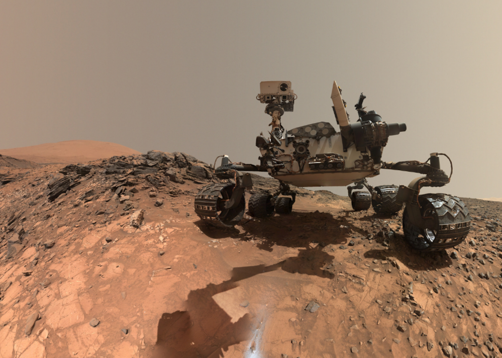Rover selfie